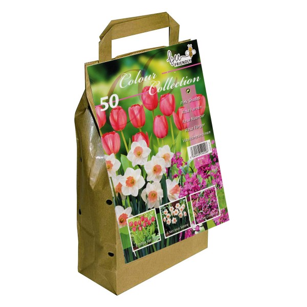 Colour Collection Spring Flower BulbsPink (50 Bulbs) Bee Friendly