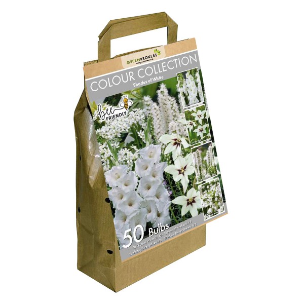 White Colour Collection Summer Flowering Bulbs (50 Bulbs) - GB1307