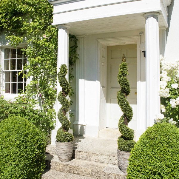  Artificial Spiral Boxwood Topiary Tree 150cm/5ft (Set of 2) - GB1180