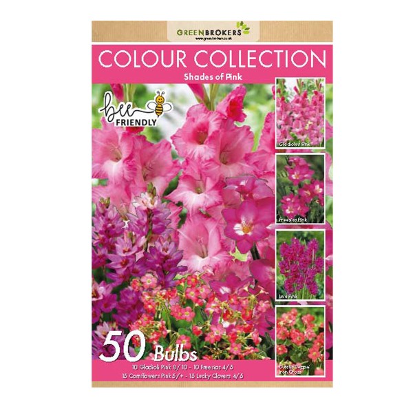 Pink Colour Collection Summer Flowering Bulbs (50 Bulbs) - GB1309