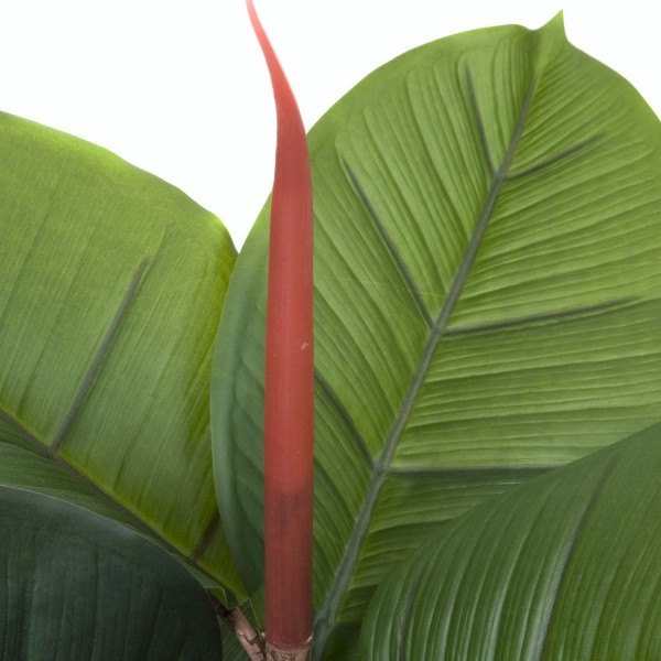 Artificial Real Touch Rubber Tree x 13 leaves 70cm - GB1363