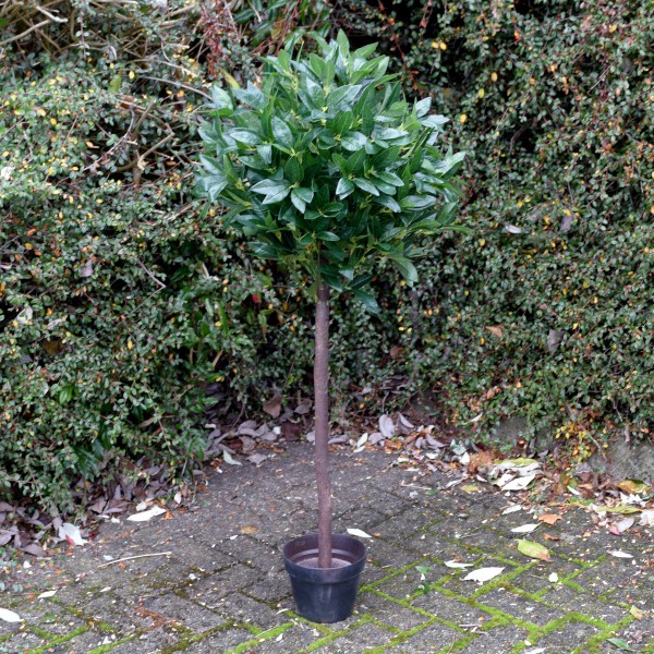 Artificial Bay Tree 120cm