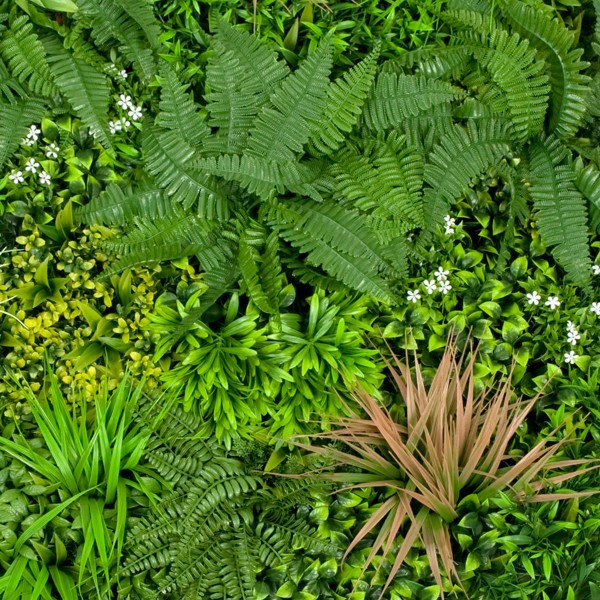 Artificial Premium Green Wall Hedge with Mixed Green and Pastel Pink Leaf Foliage (1m x 1m) - GB1145