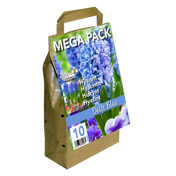 Hyacinth Mega Bag Delft Blue (10 bulbs) Bee Friendly