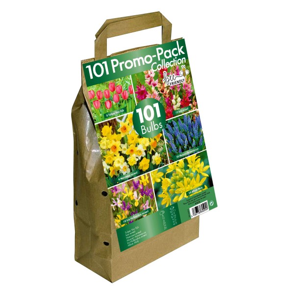  Big Buy Value Pack Flower Bulbs Collection -6 Spring Flowering Varieties (101 Bulbs) Bee Friendly