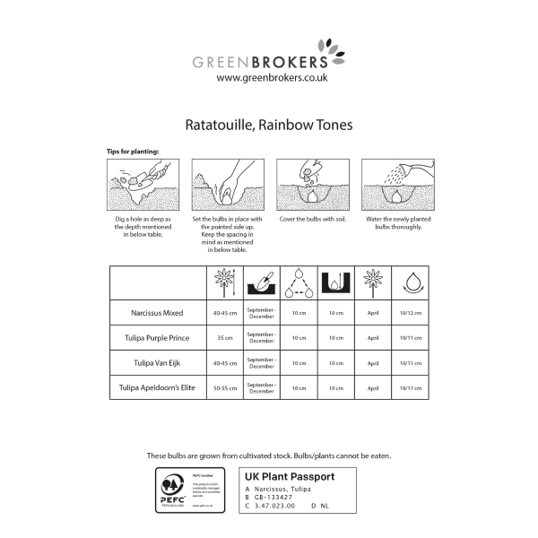GreenBrokers Ratatouille Rainbow Bulb Mix – 30 Dutch Bulbs, Bee-Friendly Gift B1168