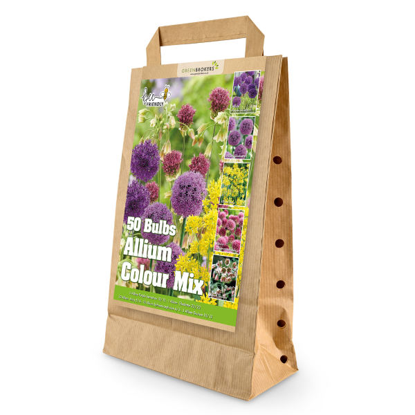 GreenBrokers Allium Bulb Collection – 50 Spring Dutch Bulbs, Bee-Friendly Mix B1218