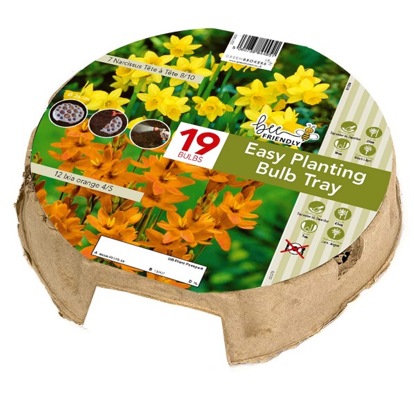 Easy Planting Tray Narcissus & Ixia - Yellow & Orange (19 Bulbs) Bee Friendly 