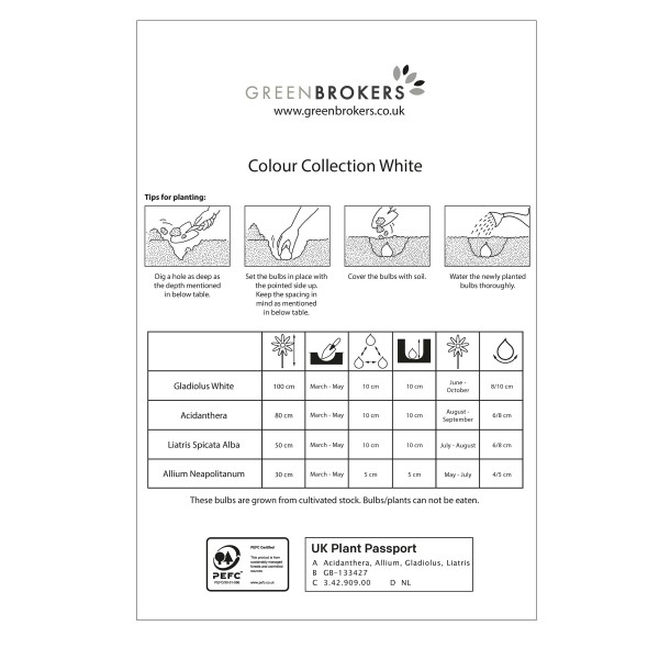 White Colour Collection Summer Flowering Bulbs (50 Bulbs) - GB1307