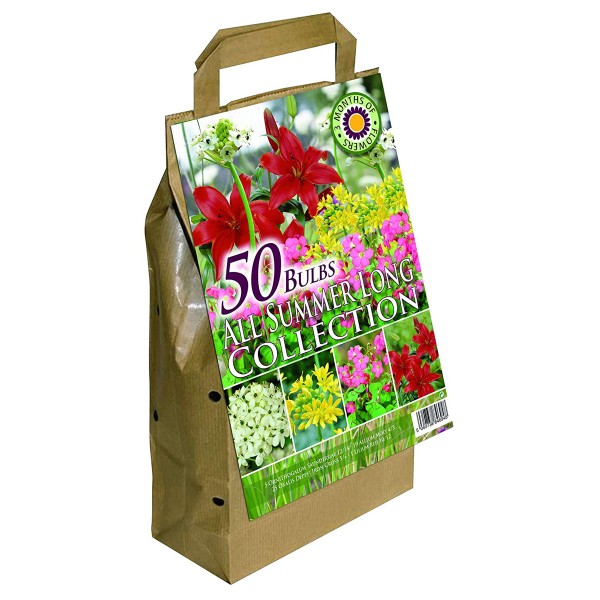 Pack of 50 GreenBrokers White Colour Collection Summer Flowering Bulbs