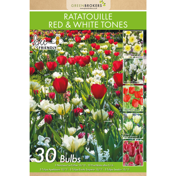 GreenBrokers Ratatouille Red & White Tones Bulb Mix – 30 Dutch Bulbs B1167