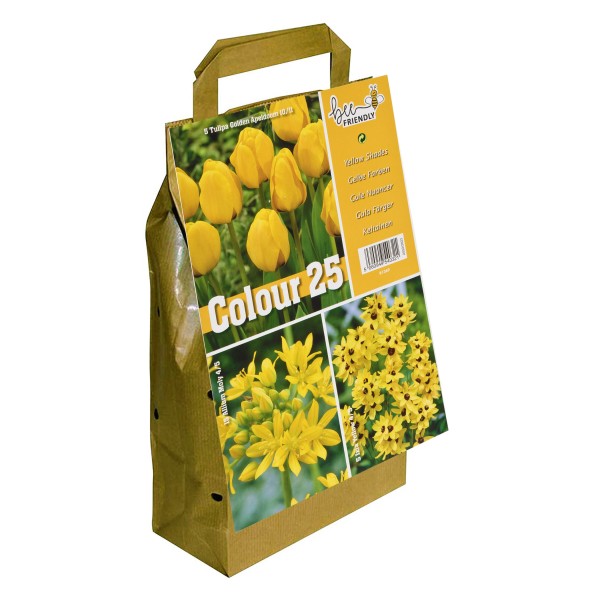 Colour Collection Spring Flowering Bulbs Yellow (25 Bulbs) Bee Friendly