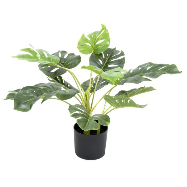 Artificial Tropical Monstera Tree in Black Pot 55cm/22in - A1292